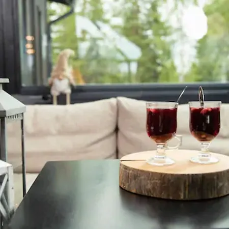 Santa's Igloos Arctic Circle Hotel Rovaniemi