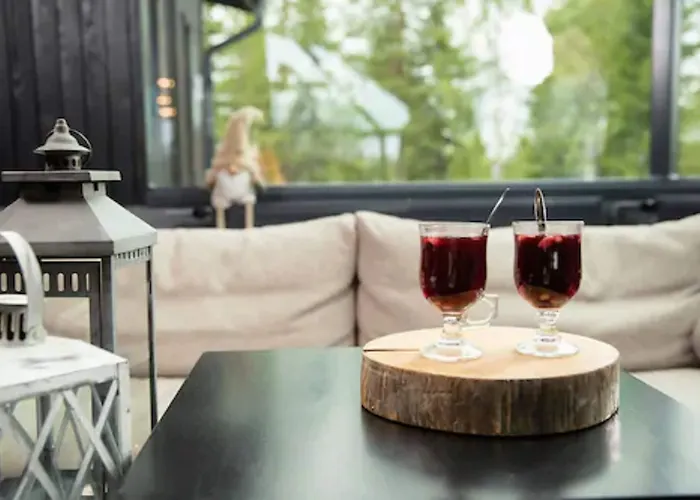 Santa's Igloos Arctic Circle Hotel Rovaniemi